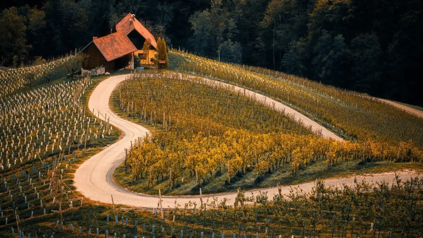 Mountain road in Slovenia